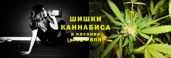 крисы Бронницы