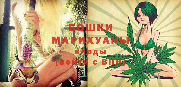 spice Бородино
