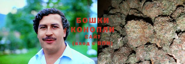 spice Бородино