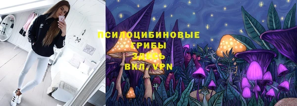 крисы Бронницы
